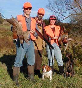Brittany spaniel hunting dogs