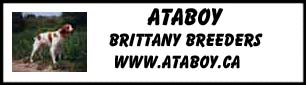 Ataboy Brittany Spaniels
