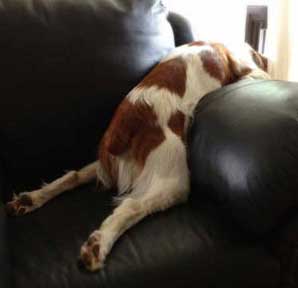 Boomer Maund - bird watching