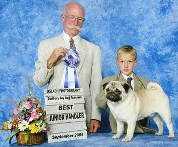 Darren Grant Brittany Spaniel Breeder and dog show handler