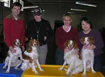 Nelly, Catcher, Nelson and Tigger and their 4 families