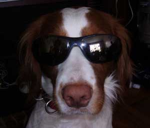 Max Trentin