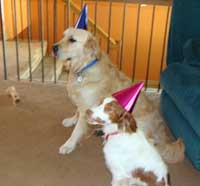 Ollie and Jazz 1st Birthday