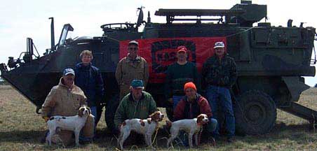 Brittany Hunting Dogs