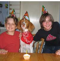 Scout, David and James