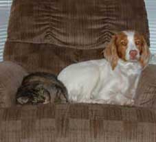 Cindy and Roxy