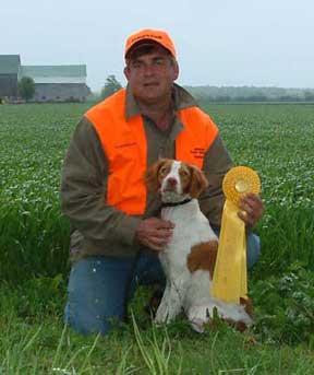 Brittany Hunting Dogs
