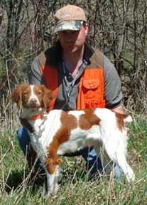 Brittany Hunting dogs