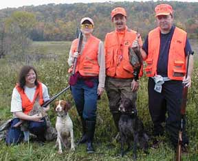 Brittany Hunting Dogs