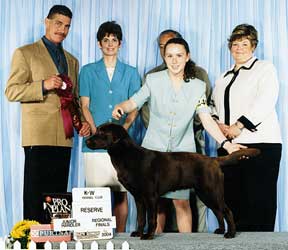 Candice Grant Dog Show Handler