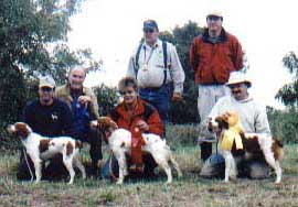 Brittany Hunting Dogs