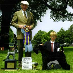 Darren Grant Brittany Spaniel Breeder and dog show handler