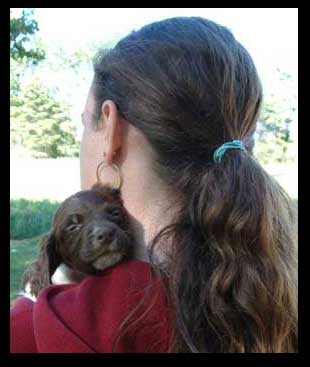 Candice Grant Dog Show Handler