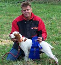 Brittany Hunting Dogs