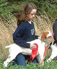 Brittany Hunting Dogs