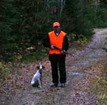 Brittany Hunting Dogs