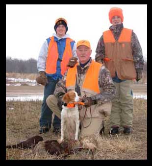 Brittany spaniel hunting dogs