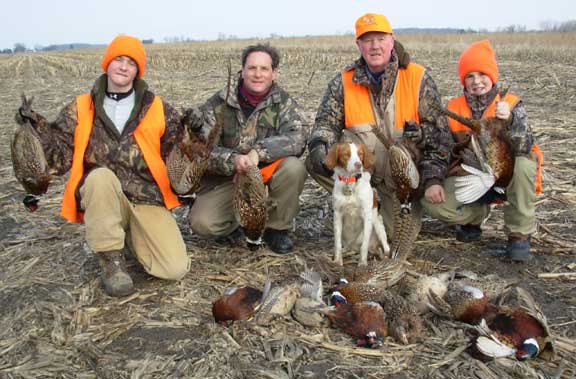 Brittany spaniel hunting dogs