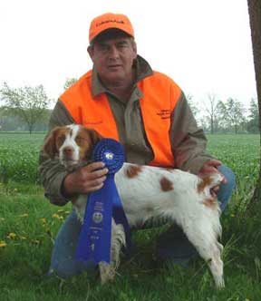 Brittany Hunting Dogs