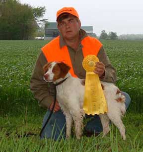 Brittany Hunting Dogs