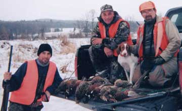 Brittany spaniel hunting dogs