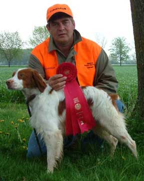 Brittany Hunting Dogs