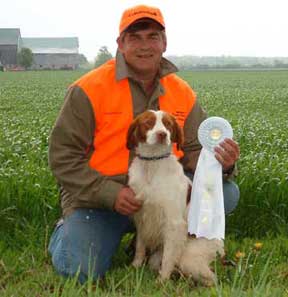 Brittany Hunting Dogs